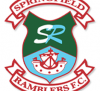 Springfield Ramblers AFC